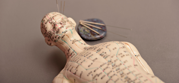 acupuncture meridian lines | book acupuncturist australia now | acupuncture near me